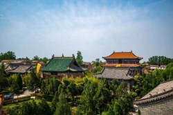 洛陽直播|成功沒有偶然，企業(yè)如何走出正確的下一步？