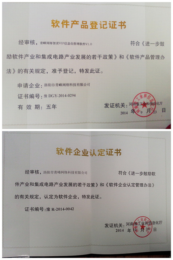 双软企业